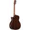 Alvarez AG70WCEAR Grand Auditorium Cutaway with Bevel Back View