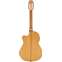 Alvarez CF6CE Cadiz Flamenco Cutaway Back View