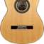 Alvarez CF6CE Cadiz Flamenco Cutaway 