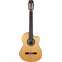 Alvarez CF6CE Cadiz Flamenco Cutaway Front View