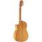 Alvarez CF6CE Cadiz Flamenco Cutaway Front View