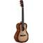 Alvarez Delta DeLite Mini Blues Travel Guitar Front View