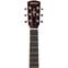 Alvarez Blues51WE/TSB 12 Fret w/ Pickup 