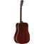 Alvarez MD60EBG Dreadnought Bluegrass with LR Baggs Front View