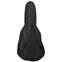 TOURTECH TTB-20WG Deluxe Western Acoustic Guitar Gig Bag Back View