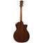 Taylor 314ce Grand Auditorium V Class Bracing Left Handed Back View