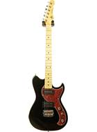 G&L Tribute Fallout Gloss Black Tortoise Pickguard MN