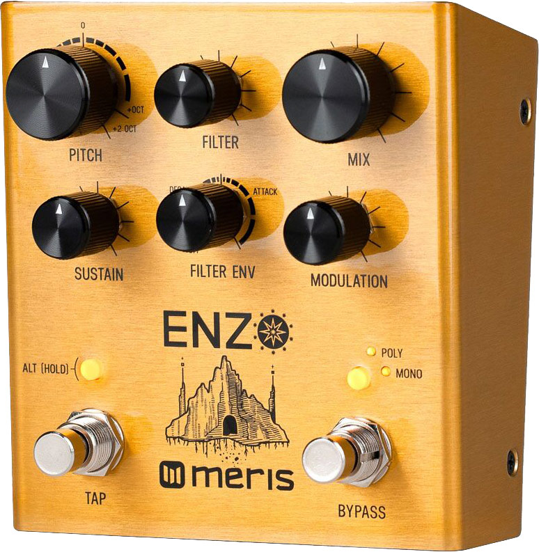 Meris Enzo Multi Voice Synthesizer | guitarguitar