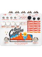 Electro Harmonix Grand Canyon Delay and Looper
