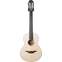 Lowden WL-35J Wee Lowden Guatemalan Rosewood Alpine Spruce #22926 Front View