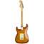 Fender American Performer Stratocaster Honey Burst Rosewood Fingerboard Back View