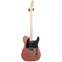 Fender American Performer Tele Penny MN (Ex-Demo) #US18971596 Front View
