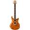 PRS CE24 Semi Hollow Amber Front View