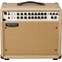Mesa Boogie Rosette 300 Combo 1x10 Front View
