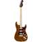 Fender Rarities American Professional Strat Flame Maple Top MN Front View