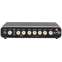 Fender Rumble 800 Bass Head Front View
