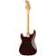 Squier Classic Vibe 70s HSS Stratocaster Walnut Indian Laurel Fingerboard Back View