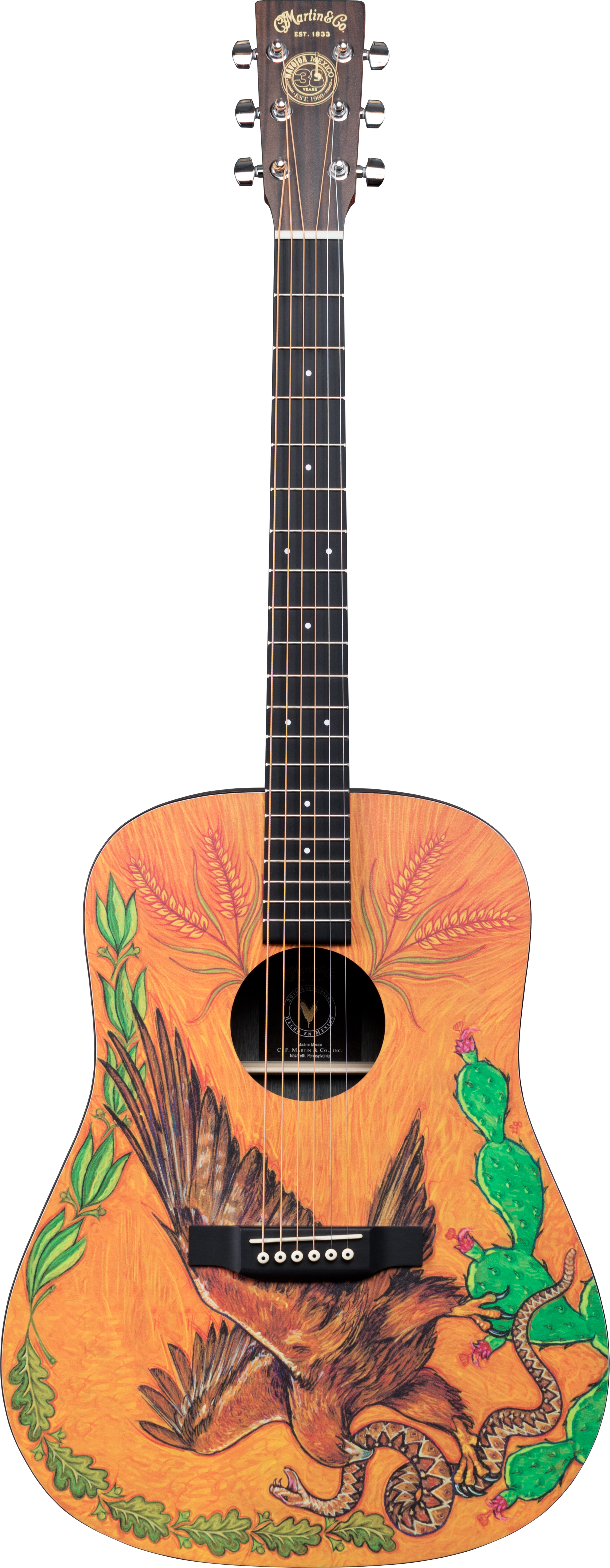 Martin DXMAE 30th Anniversary