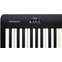 Roland FP-10 Black Digital Piano Front View