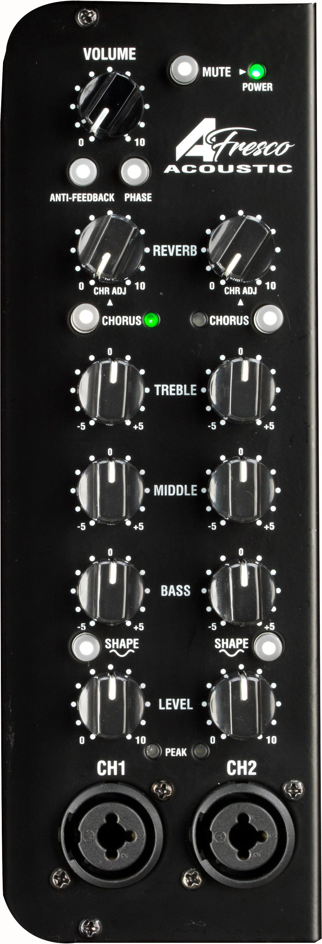 Laney A-Fresco2 Battery Powered Combo Acoustic Amp