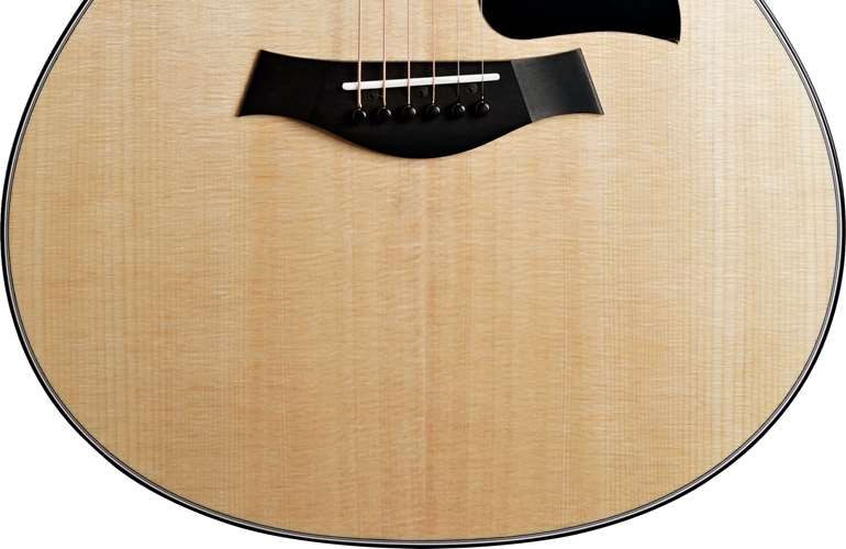 Taylor 312ce Grand Concert V Class Bracing Taylor 312ce Grand Concert V Class Bracing