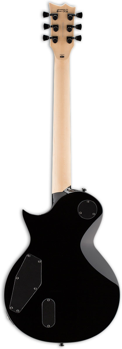 ESP LTD WA-WARBIRD Will Adler