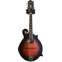 Epiphone MM-40L F Style Mandolin  Front View