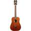 D'Angelico Premier Utica Natural Mahogany Front View