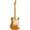 Fender Vintera 70s Telecaster Thinline Aged Natural MN Front View