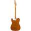 Squier Classic Vibe 60s Telecaster Thinline Natural Maple Fingerboard Back View