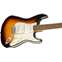 Squier Classic Vibe 60s Stratocaster 3 Tone Sunburst Indian Laurel Fingerboard Front View