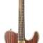 Fender Acoustasonic Tele Exotic Cocobolo #US193687 