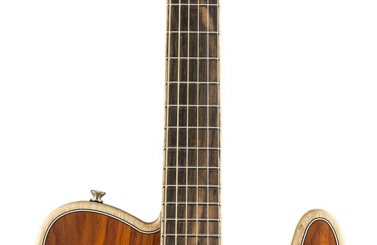 Fender Acoustasonic Telecaster Exotic Cocobolo Fender Acoustasonic Telecaster Exotic Cocobolo