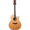 Taylor Custom Grand Orchestra Blackwood with Sitka Spruce #1105026127 Front View