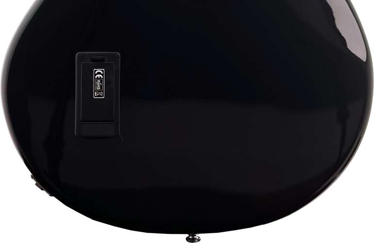 Music Man Sterling Stingray RAY34 Black Roasted Music Man Sterling Stingray RAY34 Black Roasted