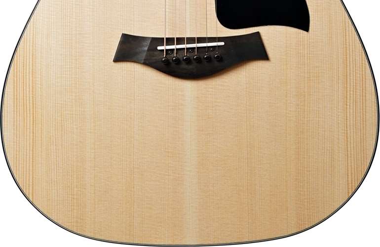 Taylor 110ce MN Taylor 110ce MN