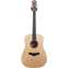 Taylor Academy 10e Dreadnought Maple Neck Front View