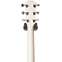 Taylor Academy 12 Grand Concert Maple Neck 