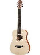 Taylor BT1-e
