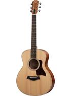 Taylor GS Mini