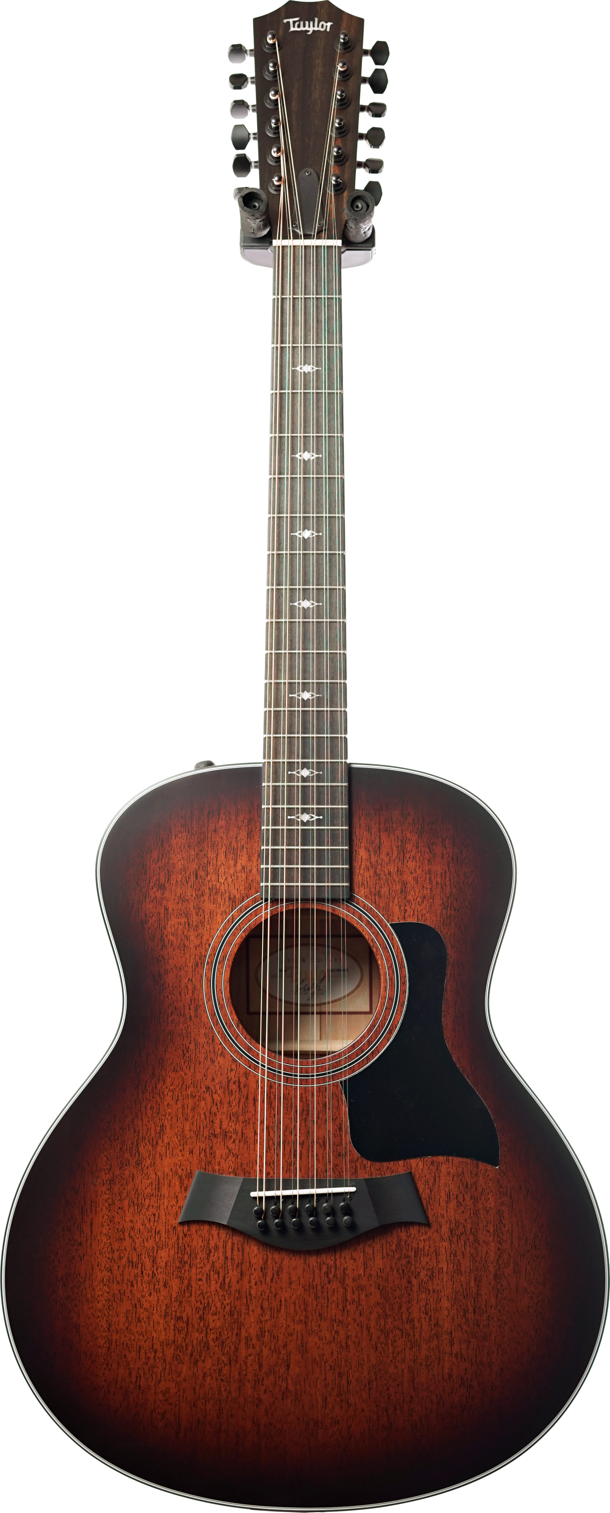 Taylor 366e SEB (Ex-Demo) #1102209035