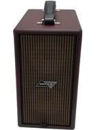 Phil Jones CUB AG-100 Brown Airpulse Acoustic Amp