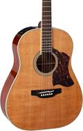 Takamine CRN-TS1 Shope Shoulder Dread