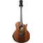 Taylor PS16ce Cocobolo/Sinker Redwood (Ex-Demo) #1103129144 Front View
