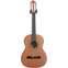 Strunal Guitars 371 Solid Top Classical 1/2 Size Front View