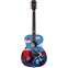 Alvarez AF60GD-SUNSHINE Grateful Dead Limited Edition Front View