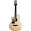 Taylor 312ce 12-Fret V Class Bracing LH (Ex-Demo) #1102019001 Front View