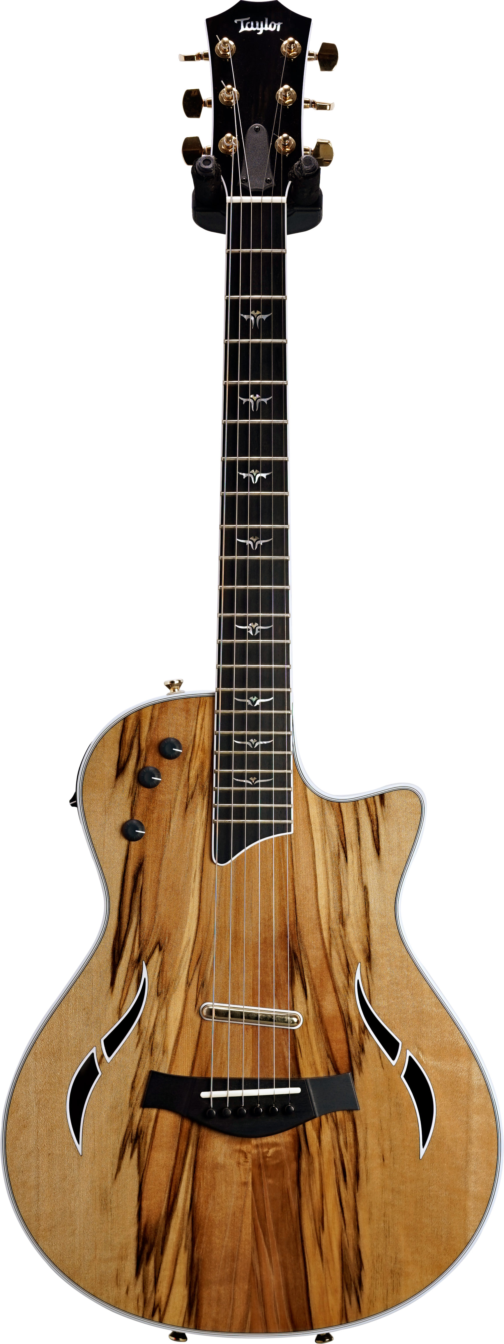 Taylor T5z Custom Limited Sassafras (Ex-Demo) #1103307093