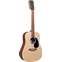 Martin X Series DX2E 12 String Spruce/Mahogany Front View