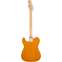 Squier Affinity Telecaster Butterscotch Blonde Maple Fingerboard Back View